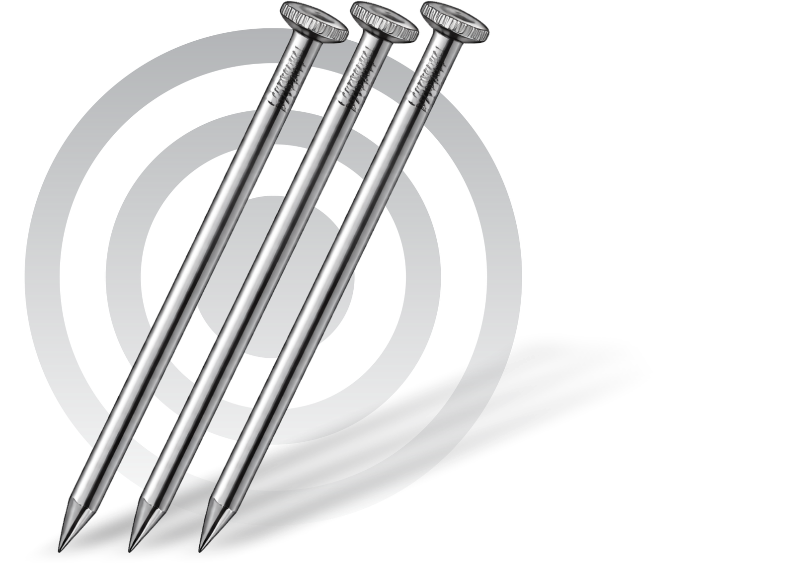 SS Nails Stainless Steel